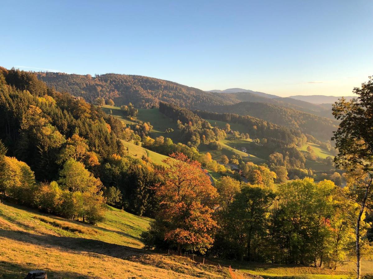 Schlaf Aus Im Schwedenhaus Apartment Eimeldingen Bagian luar foto